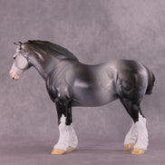 Art of the Horse 