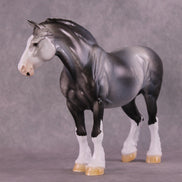 Art of the Horse 