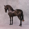 &quot;Mistral&quot; NO FINISH CHANGE FCM Andalusian By Ashley Palmer POS INVENTORY