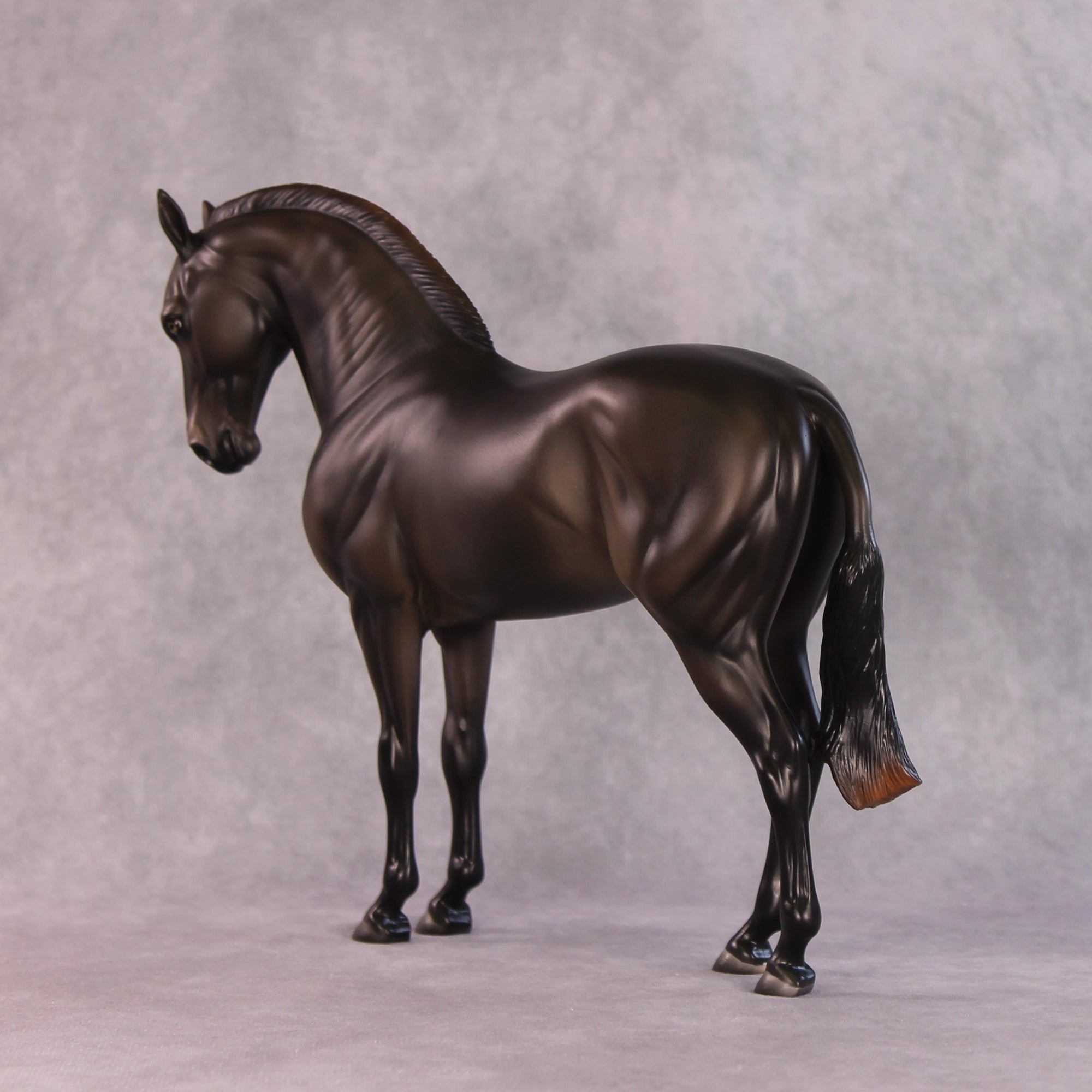 "Mistral" LE-15 FCM Andalusian By Ashley Palmer SHCF25OS Run