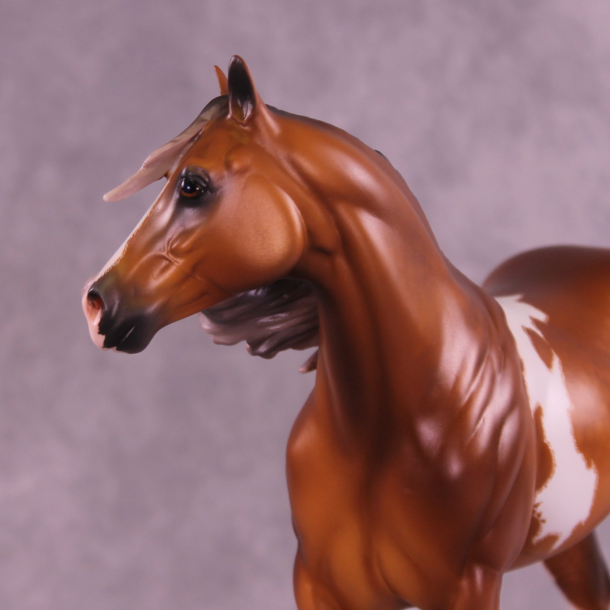 Chex Meowt OOAK FCM Ideal Stock Horse by Caroline Boydston &amp; Mel Miller Best Offer 1.20.2026