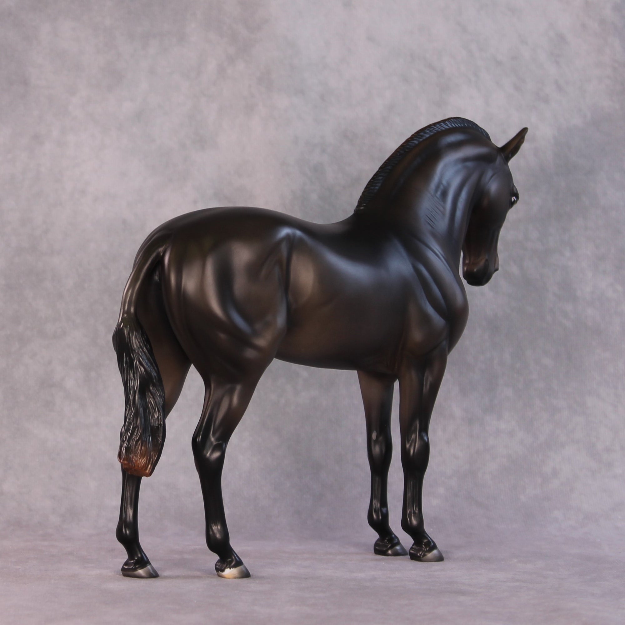 "Mistral" LE-15 FCM Andalusian By Ashley Palmer SHCF25OS Run