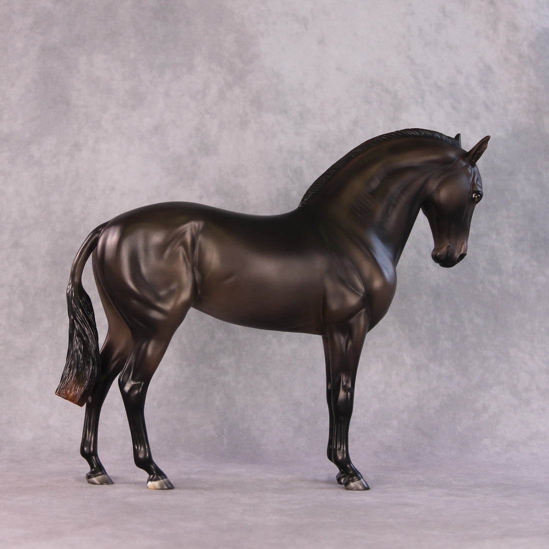 "Mistral" LE-15 FCM Andalusian By Ashley Palmer SHCF25OS Run