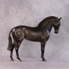 &quot;Mistral&quot; NO FINISH CHANGE FCM Andalusian By Ashley Palmer POS INVENTORY