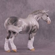 Art of the Horse 