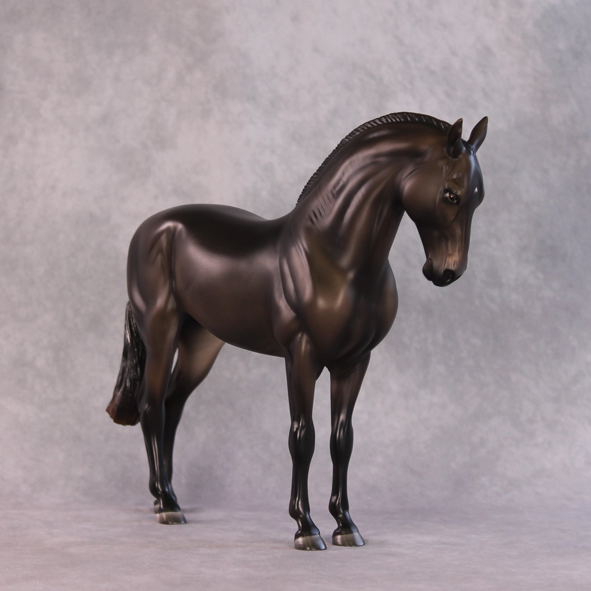 "Mistral" LE-15 FCM Andalusian By Ashley Palmer SHCF25OS Run