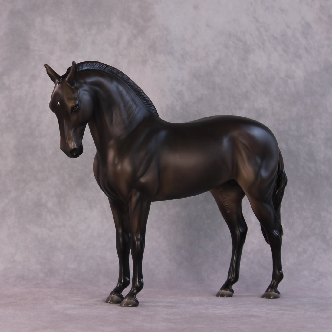 "Mistral" LE-15 FCM Andalusian By Ashley Palmer SHCF25OS Run