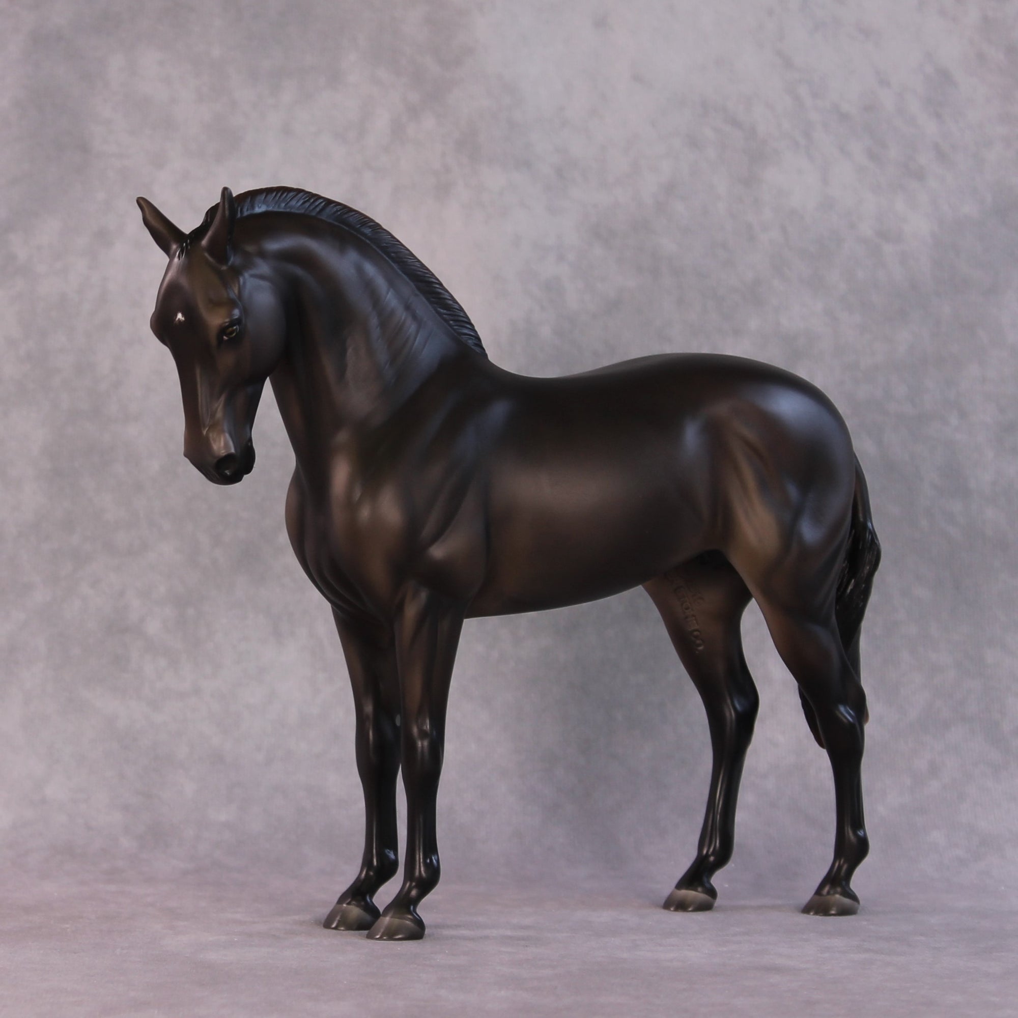 "Mistral" LE-15 FCM Andalusian By Ashley Palmer SHCF25OS Run