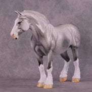 Art of the Horse 