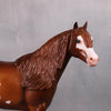 Ideal Ruby OOAK Dappled Chestnut Overo Custom ISH Portrait Horse By Caroline Boydston - Best Offer 10/1/24