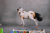 Akeman OOAK Dappled Buckskin Pinto Running Stock Horse By Caroline Boydston - Best Offer 10/1/24