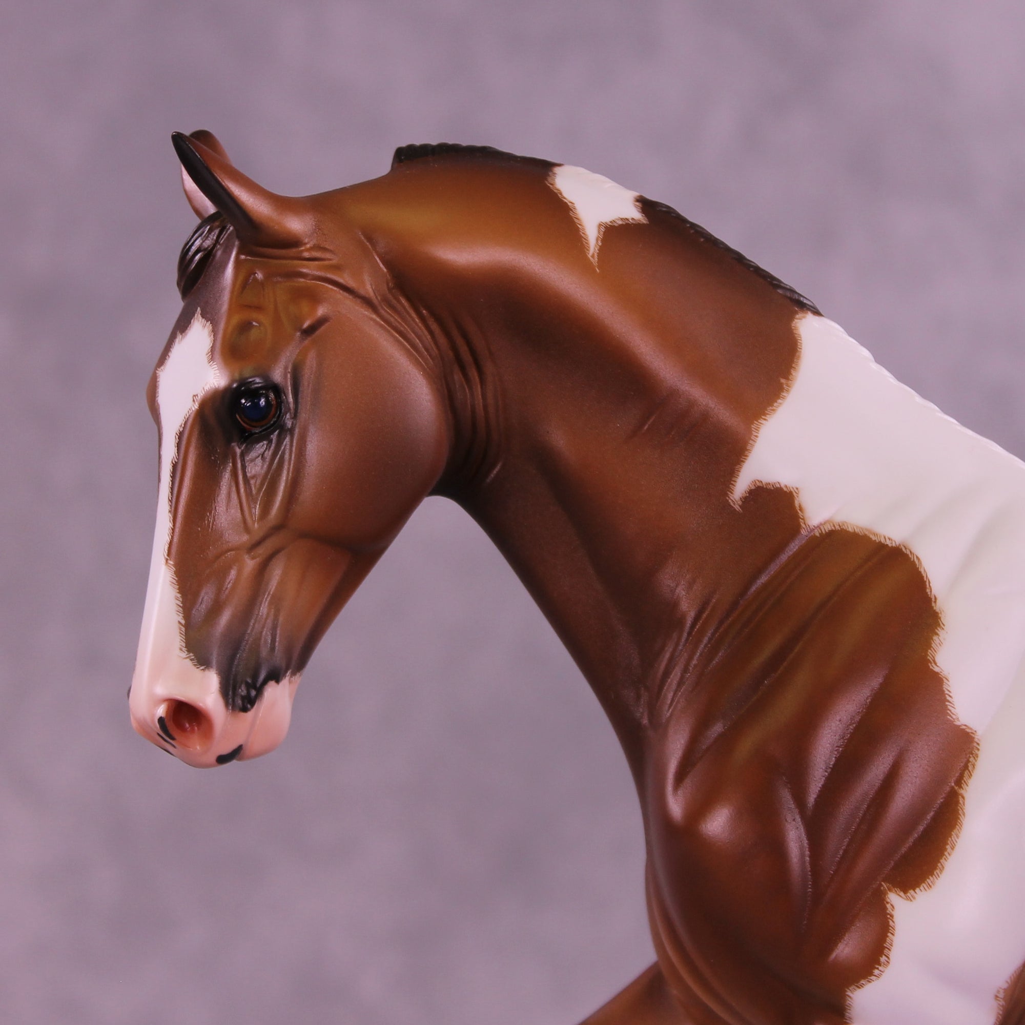 Dream Theater OOAK Tennessee Walking Horse by Caroline Boydston Best Offer 1.20.2026