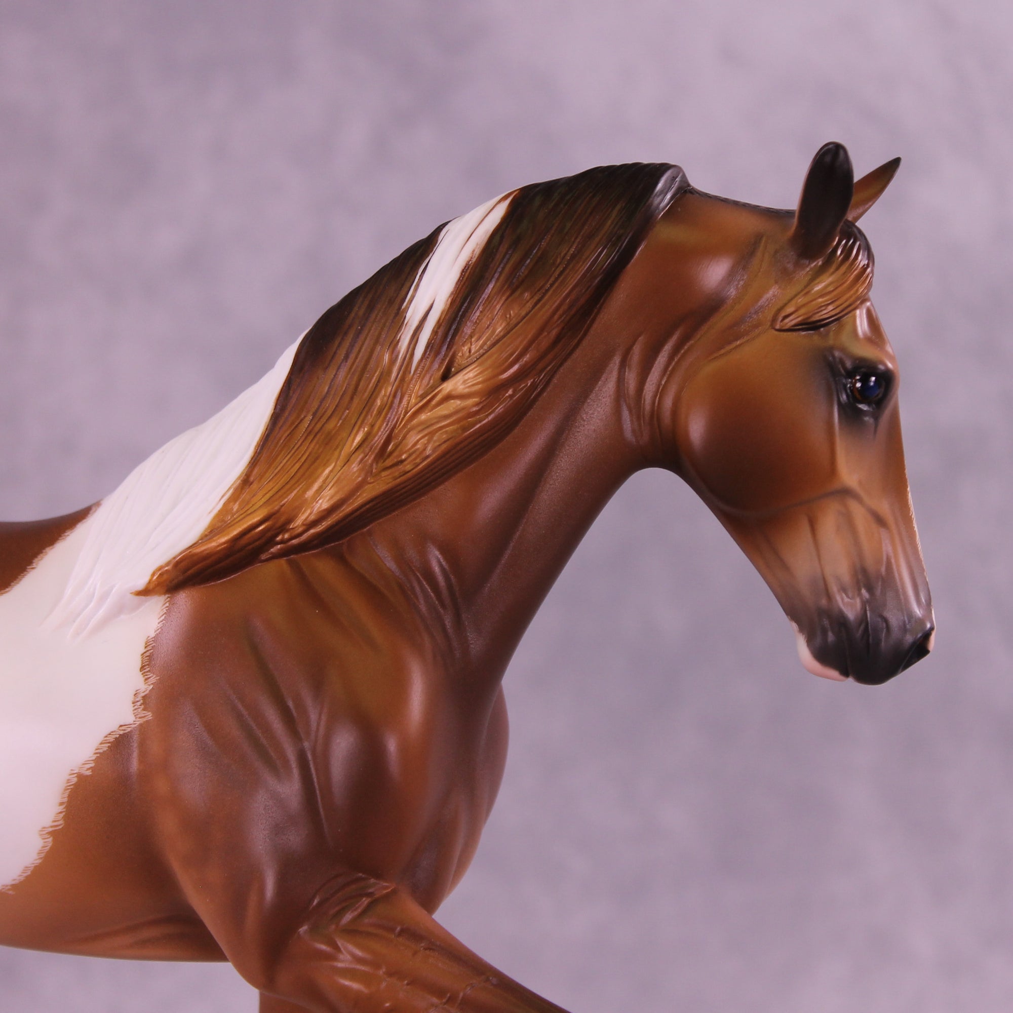 Dream Theater OOAK Tennessee Walking Horse by Caroline Boydston Best Offer 1.20.2026