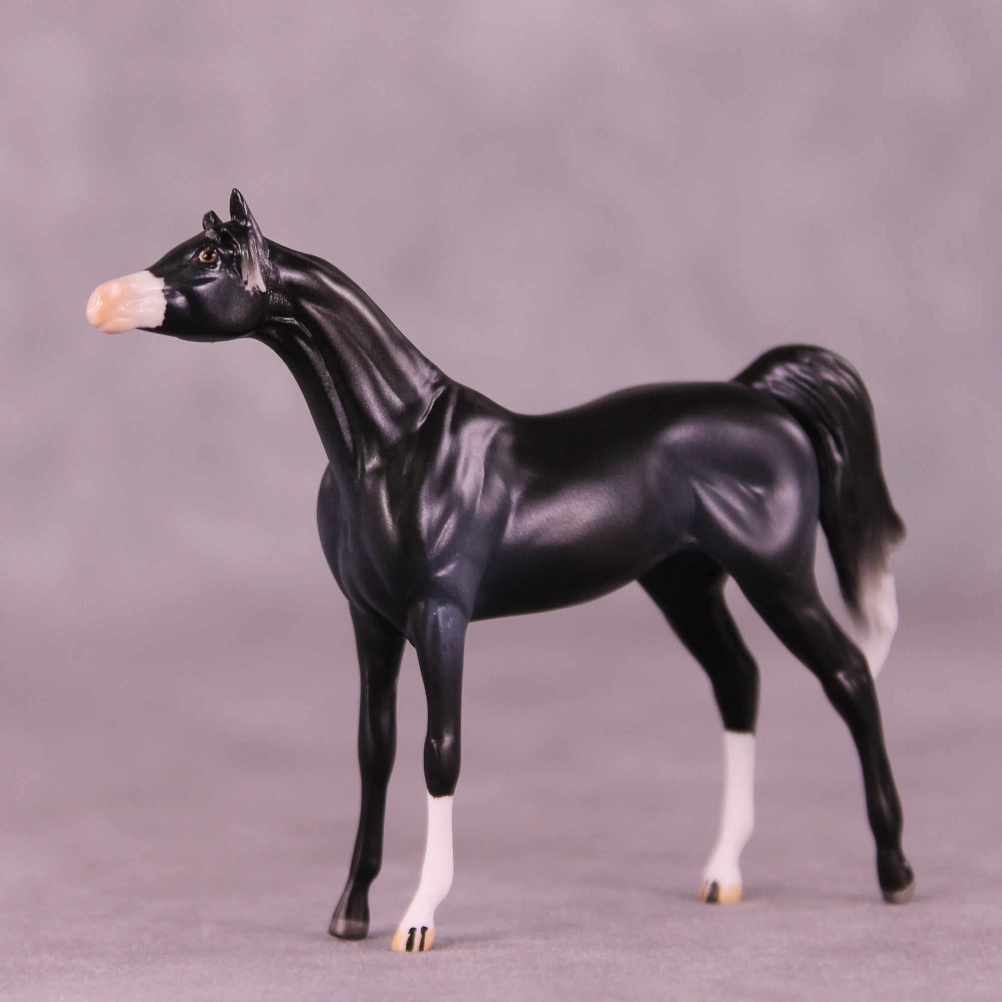 Rob OOAK Chip Arabian by Jamie Adamson LHS25