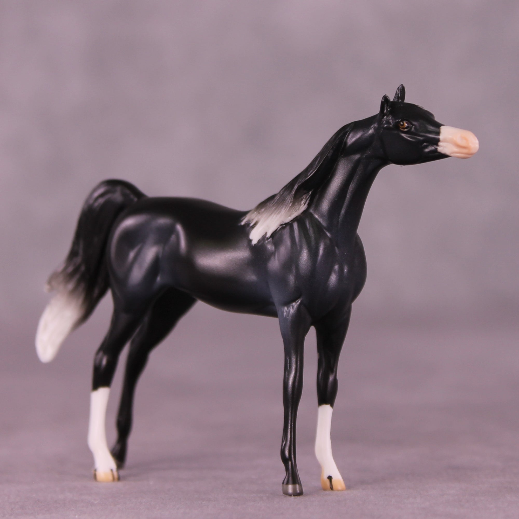 Rob OOAK Chip Arabian by Jamie Adamson LHS25
