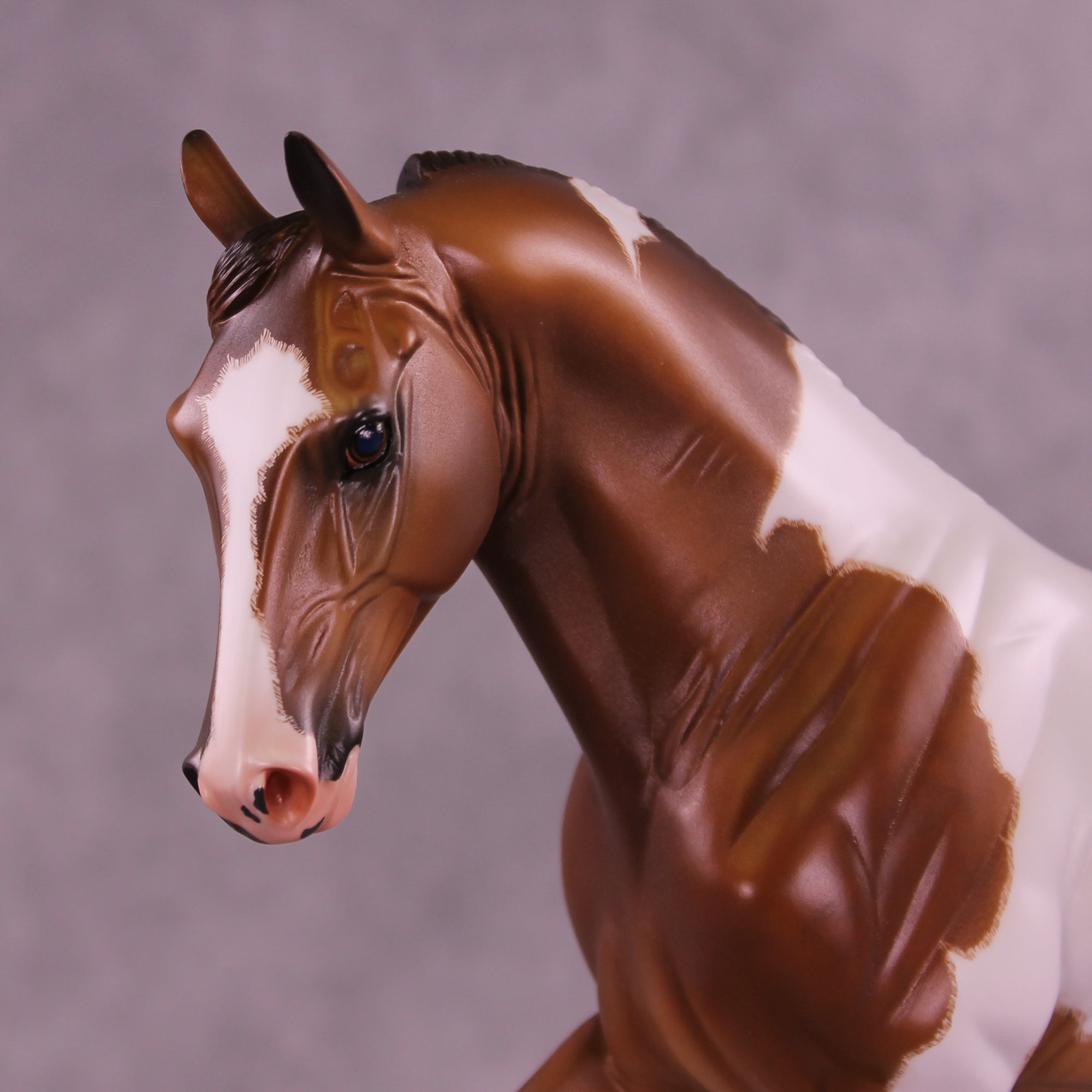 Dream Theater OOAK Tennessee Walking Horse by Caroline Boydston Best Offer 1.20.2026