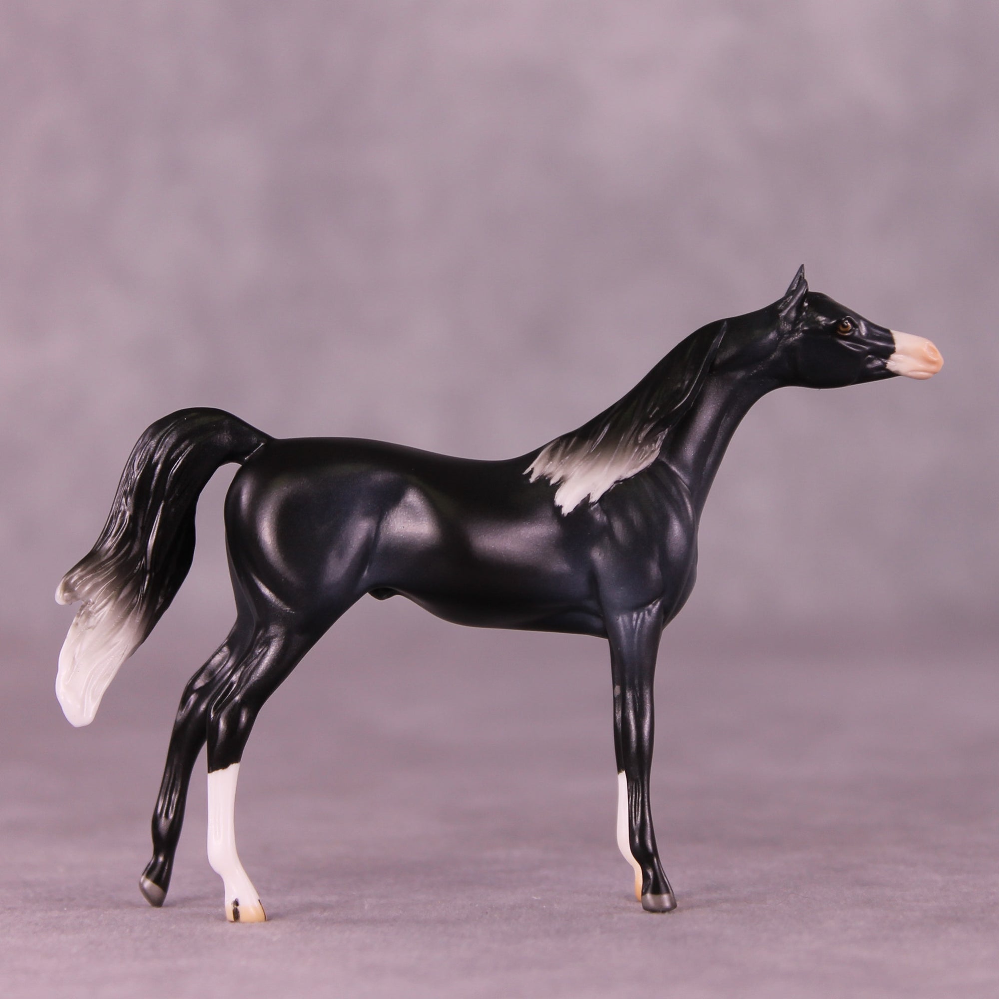Rob OOAK Chip Arabian by Jamie Adamson LHS25