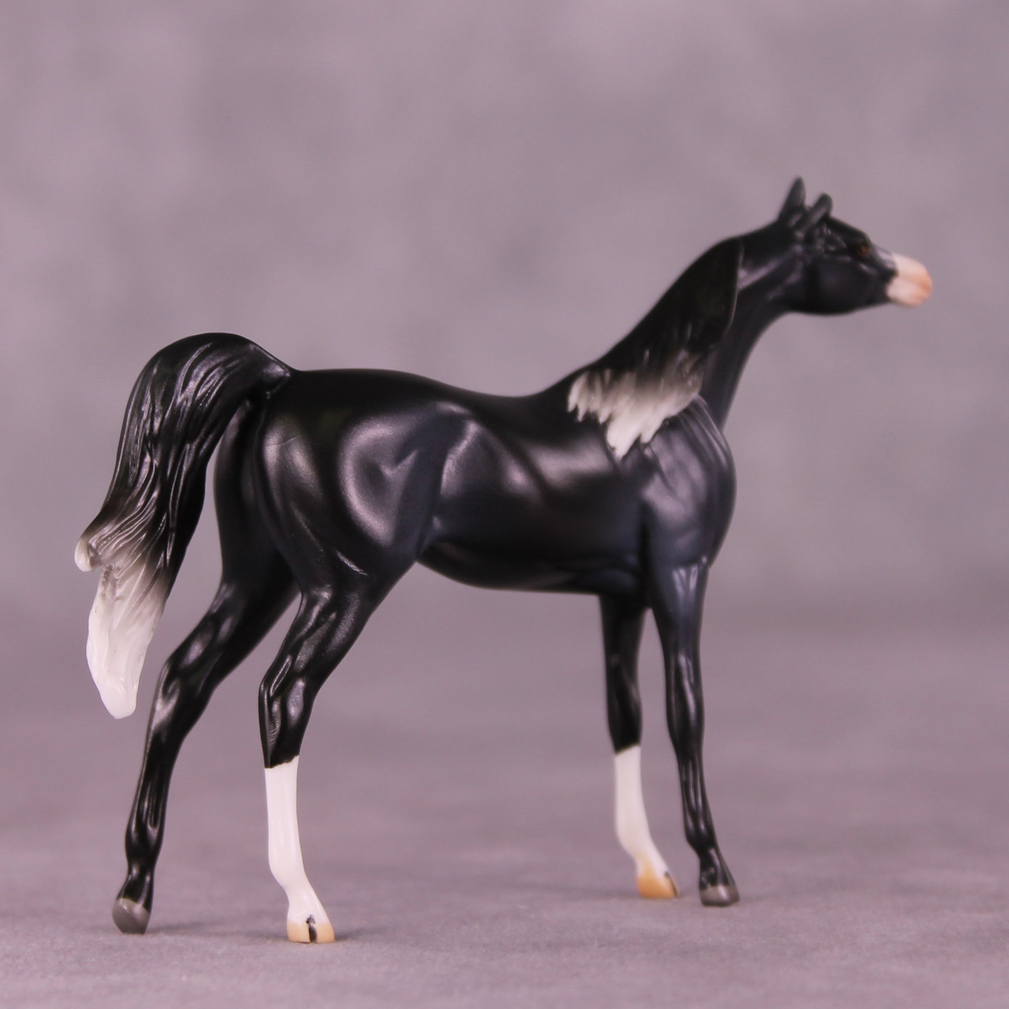 Rob OOAK Chip Arabian by Jamie Adamson LHS25