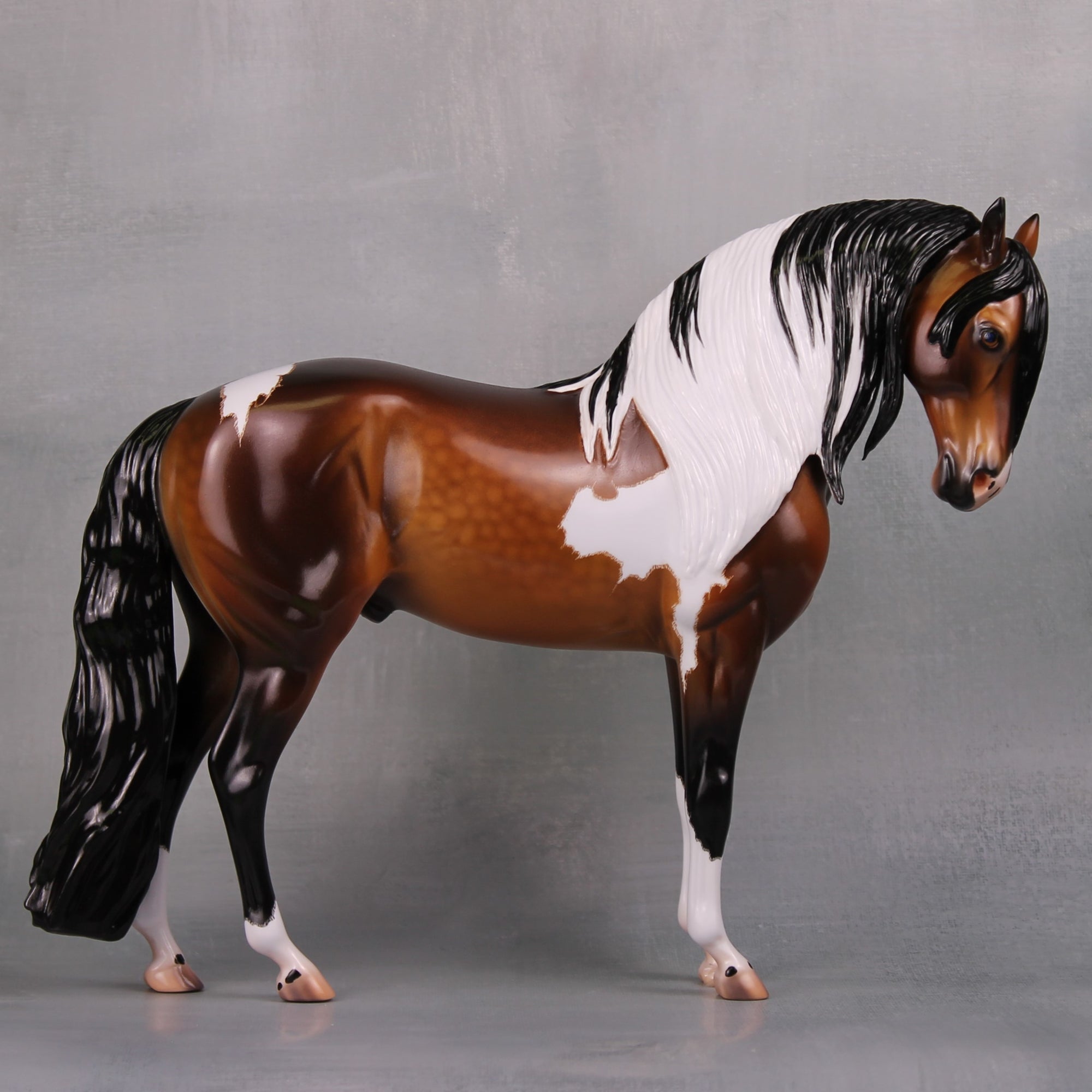 Augusta OOAK Dappled Bay Tobiano Custom Andalusian By Caroline Boydston - Best Offer 10/1/24