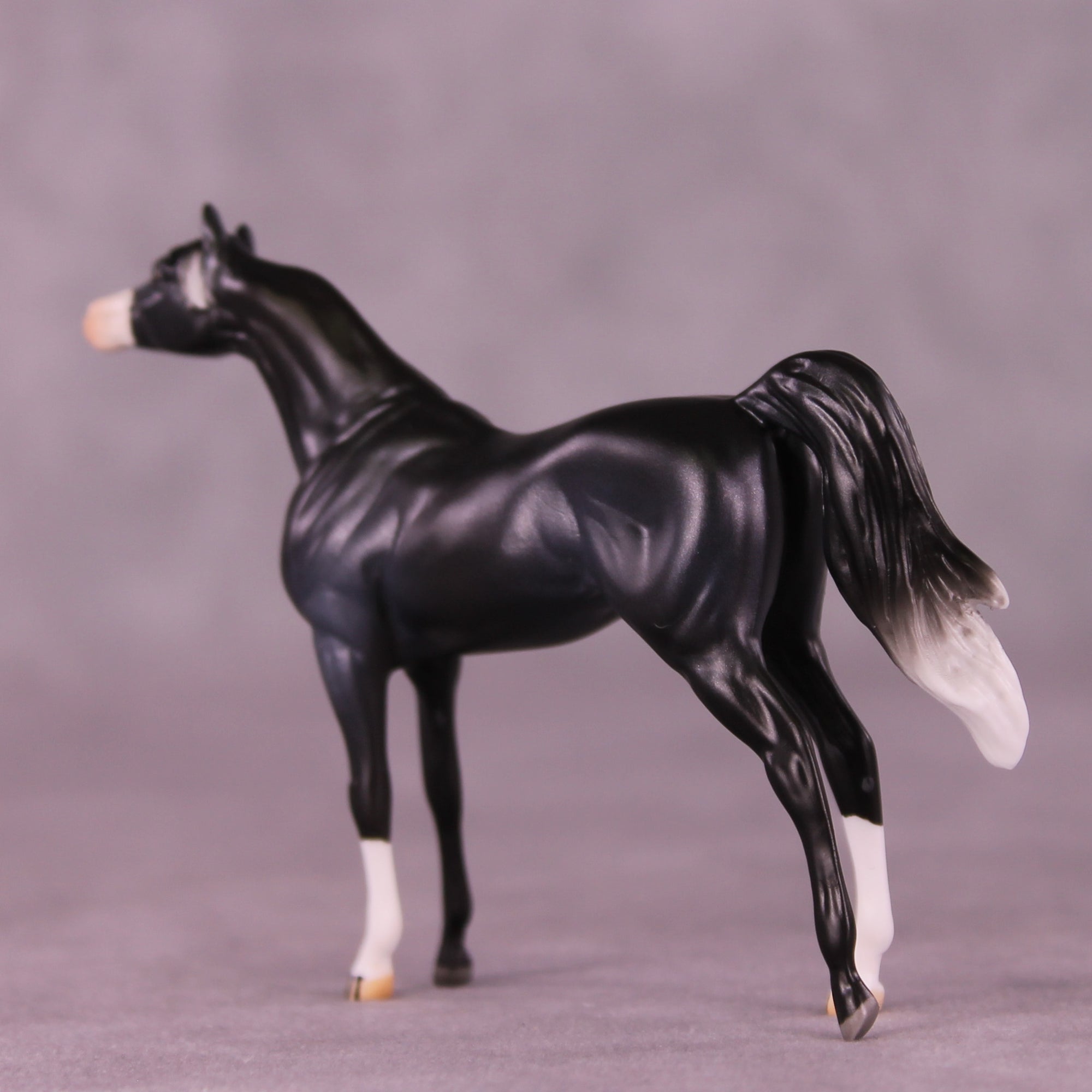 Rob OOAK Chip Arabian by Jamie Adamson LHS25