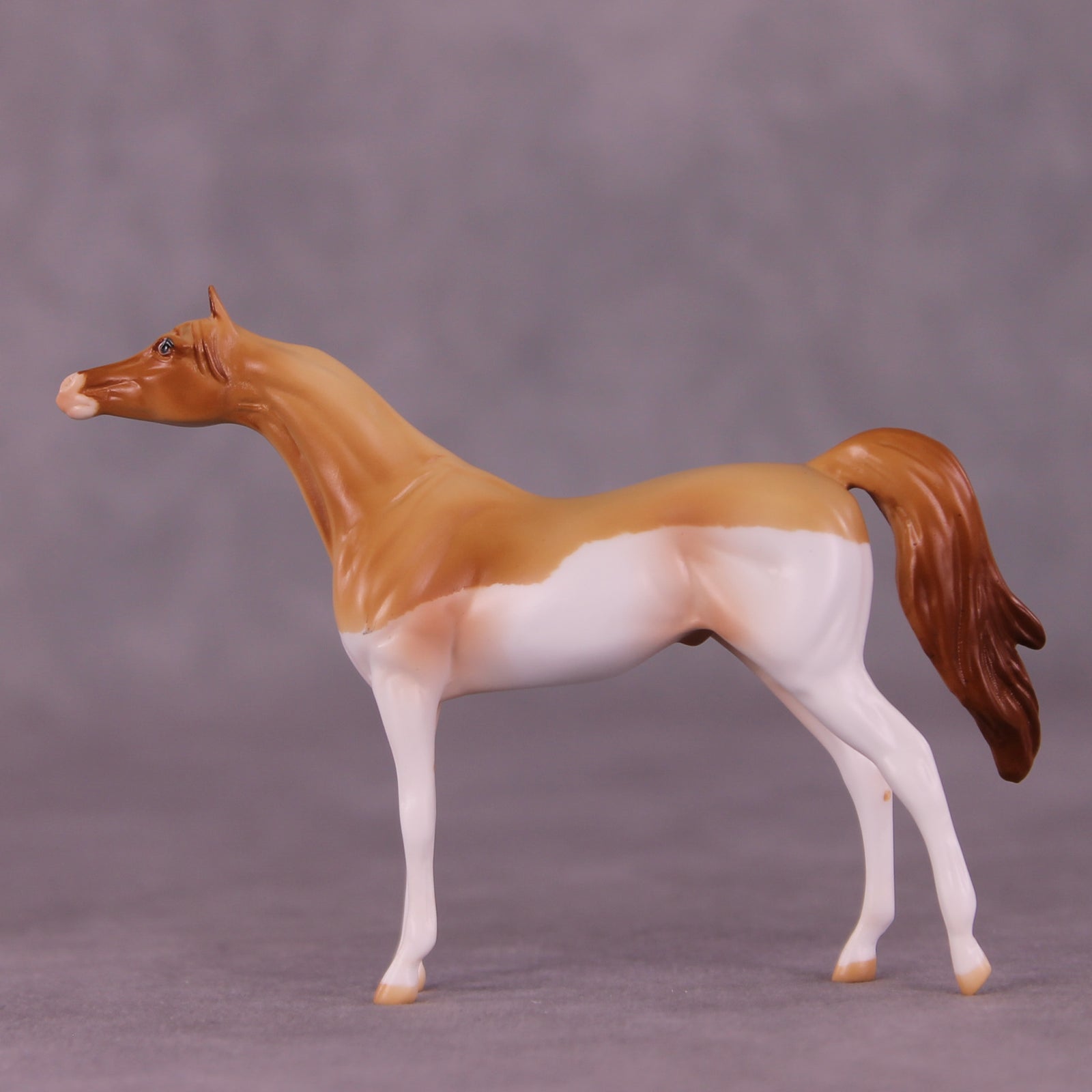 Don OOAK Chip Arabian by Jamie Adamson LHS25