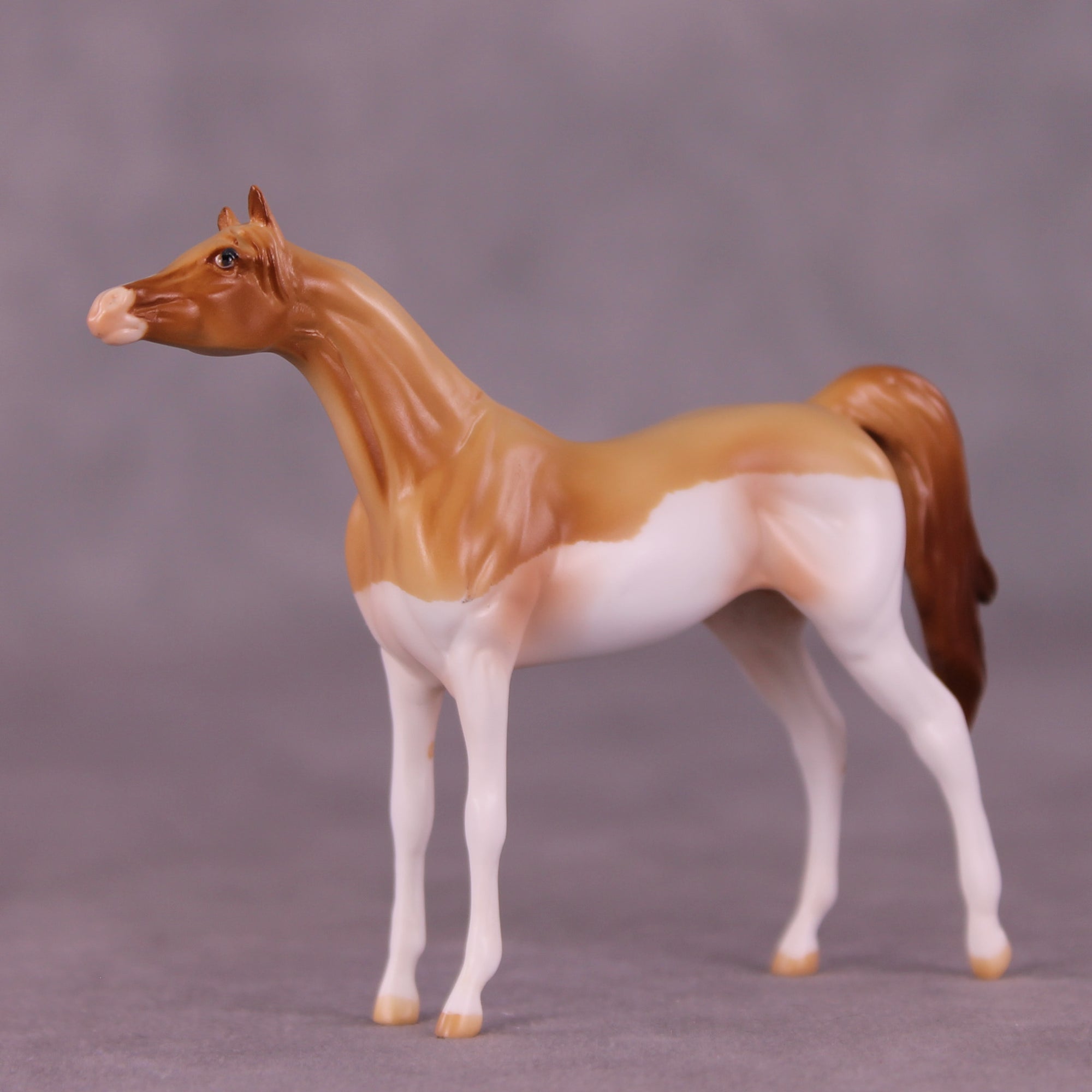 Don OOAK Chip Arabian by Jamie Adamson LHS25