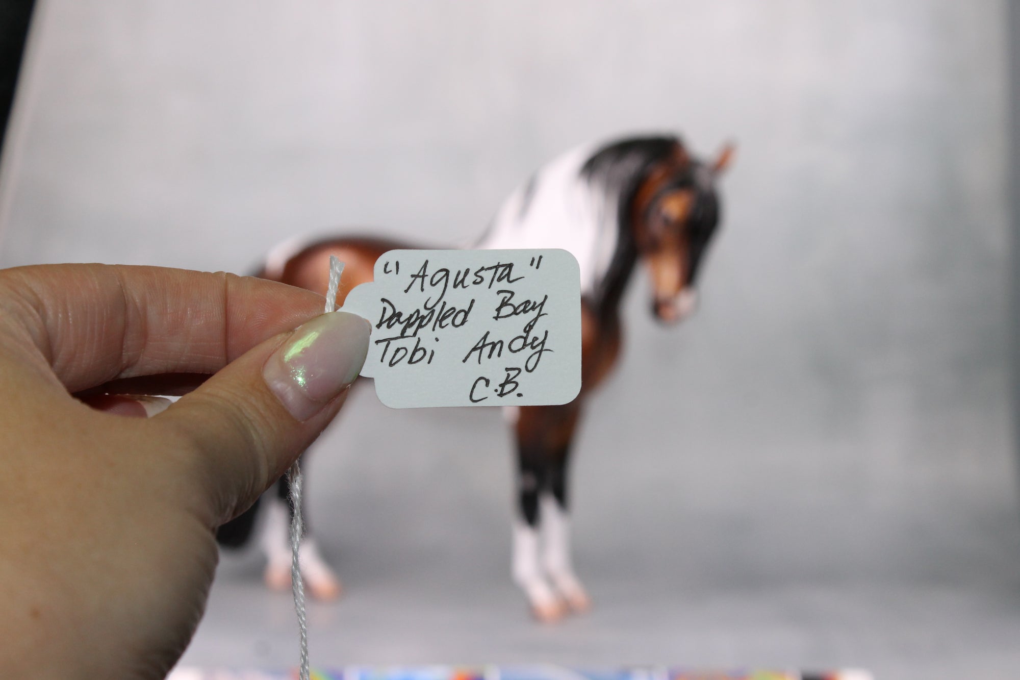 Augusta OOAK Dappled Bay Tobiano Custom Andalusian By Caroline Boydston - Best Offer 10/1/24