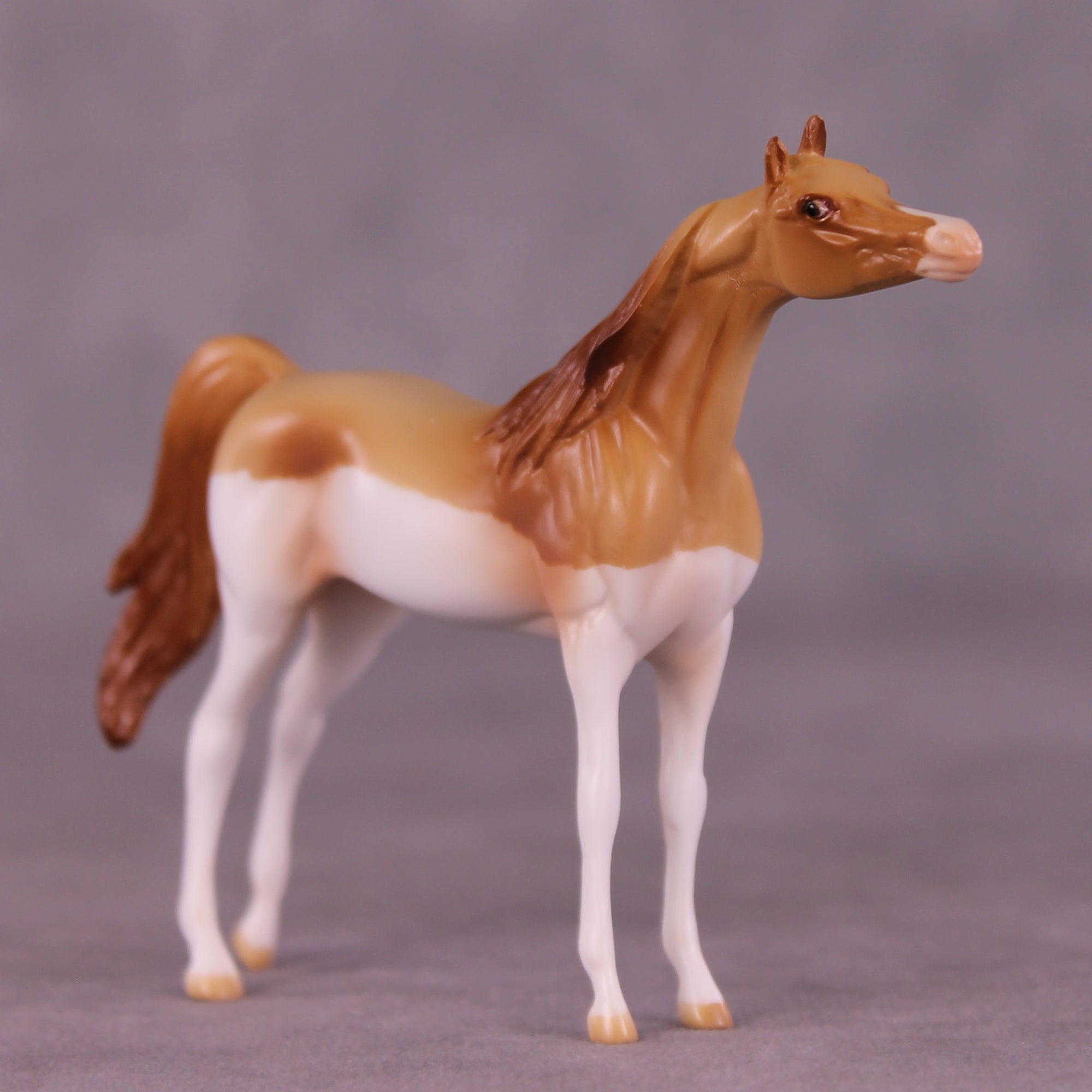 Don OOAK Chip Arabian by Jamie Adamson LHS25