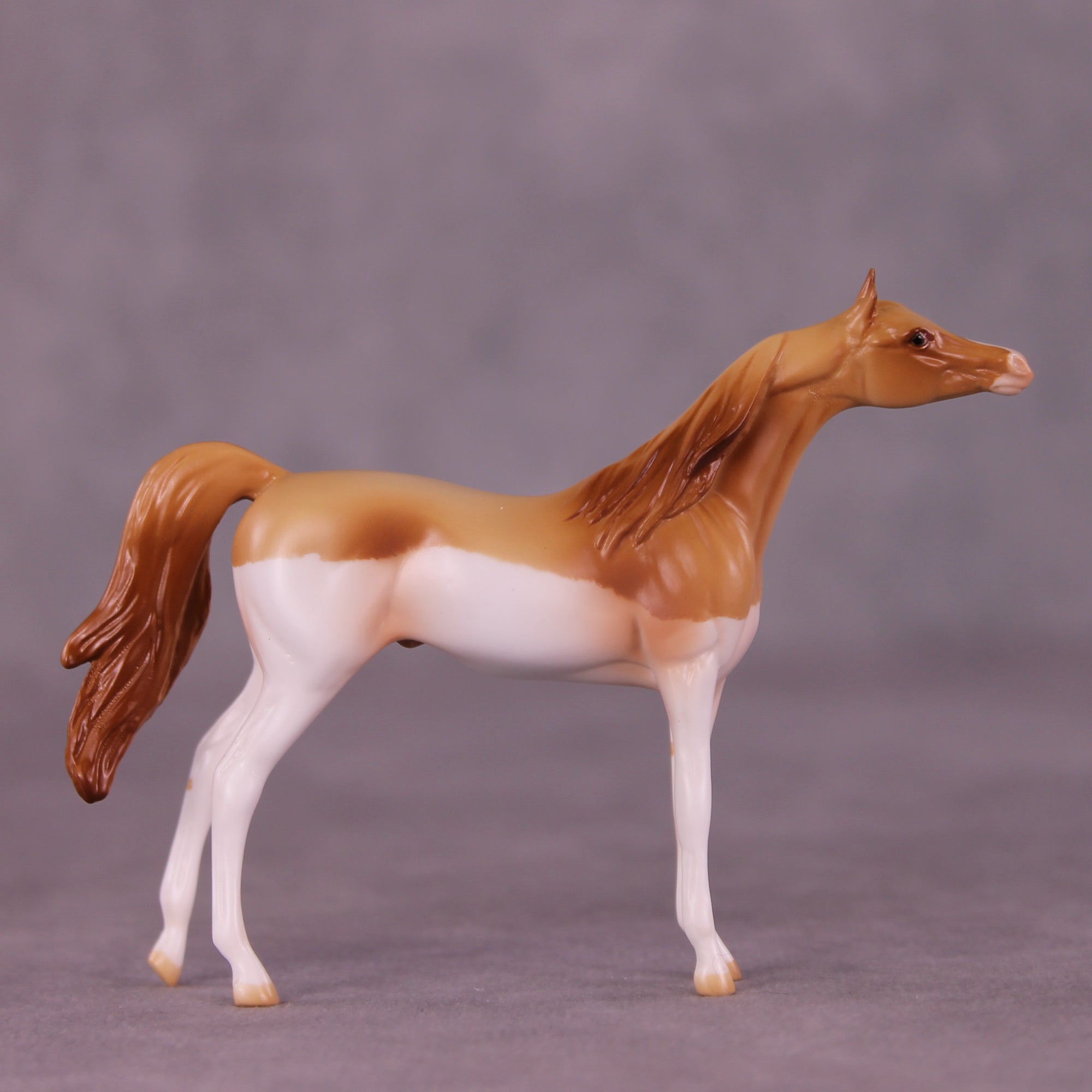Don OOAK Chip Arabian by Jamie Adamson LHS25