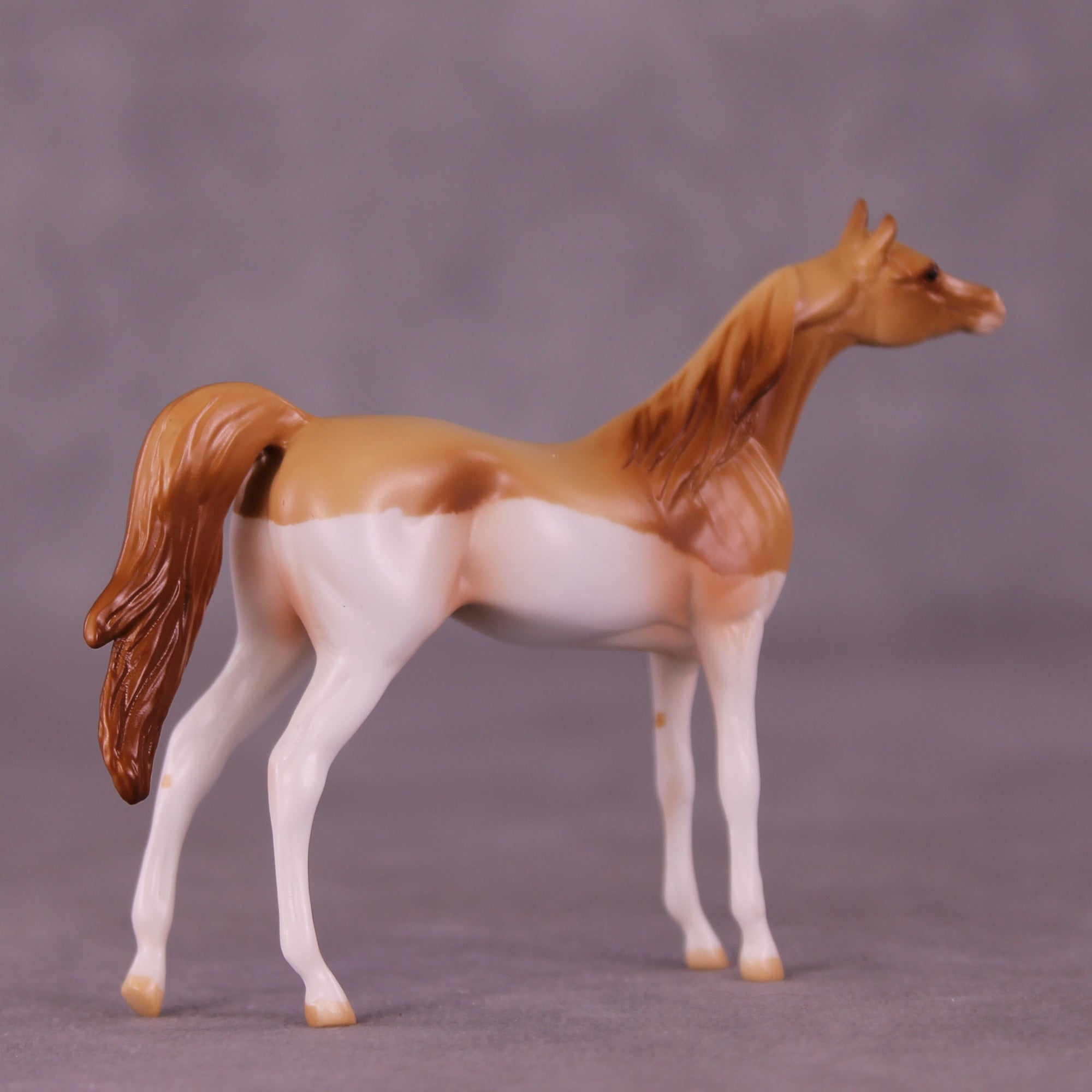 Don OOAK Chip Arabian by Jamie Adamson LHS25