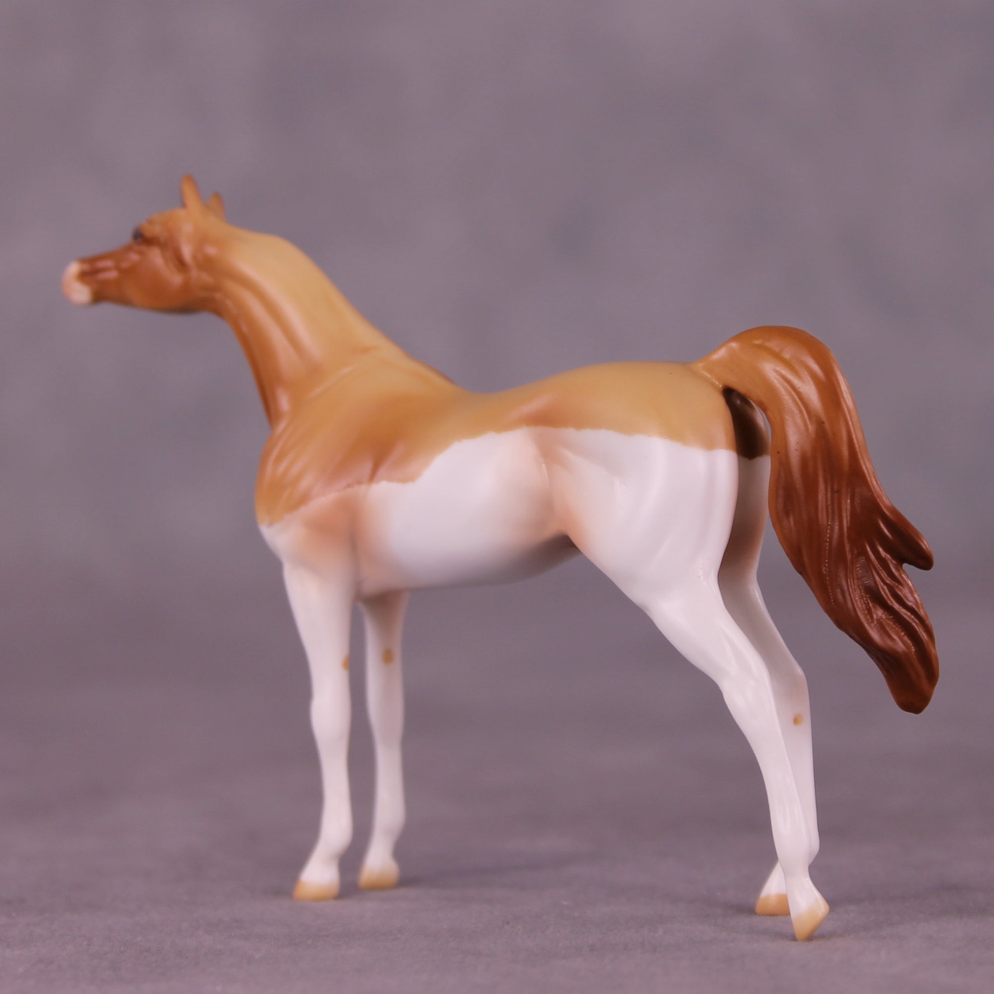 Don OOAK Chip Arabian by Jamie Adamson LHS25