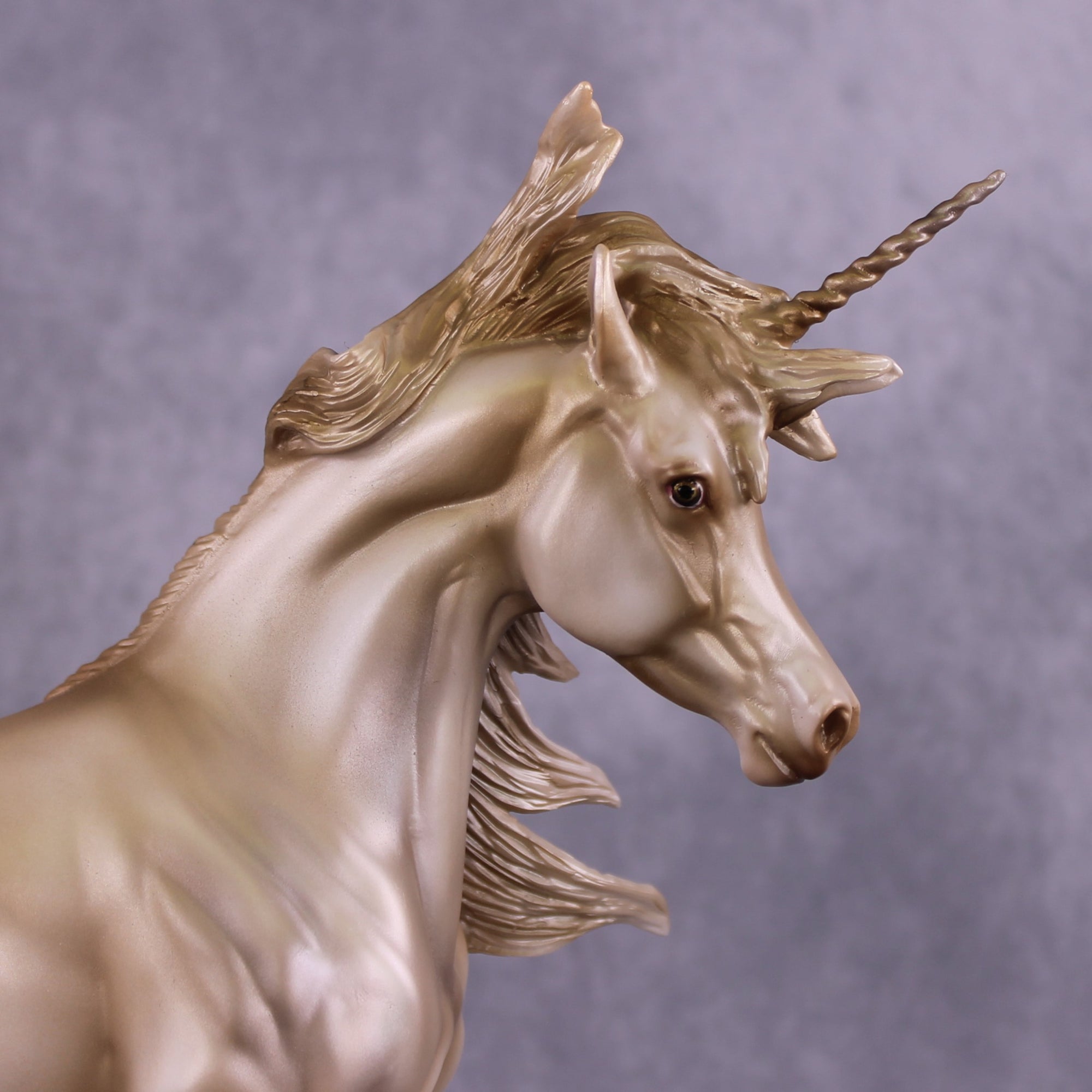 PREVIEW Art of the Horse "Witness" LE-5 EFCM Arab Mare by Jess Hamill EQ25