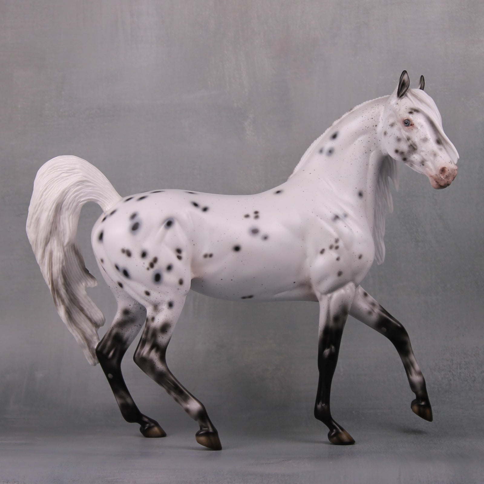 Pepper LE 20 Leopard Appaloosa Custom Arab Mare By Ellen Robbins MM24 Run