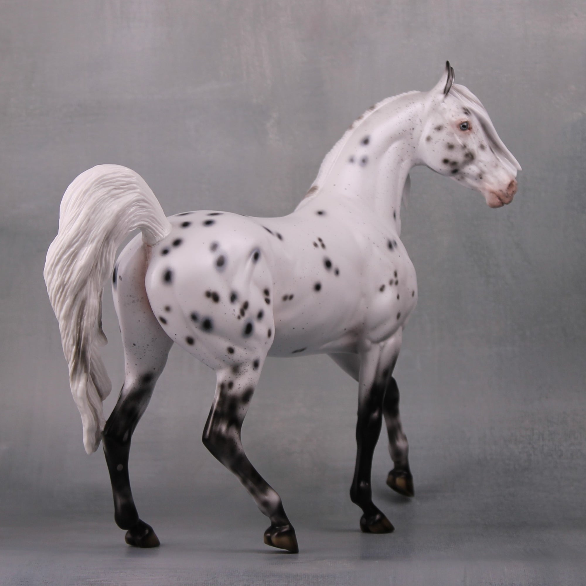 Pepper LE 20 Leopard Appaloosa Custom Arab Mare By Ellen Robbins MM24 Run