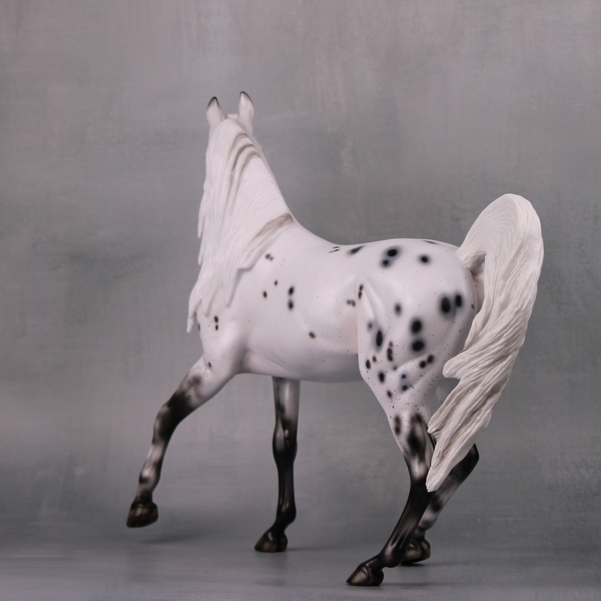 Pepper LE 20 Leopard Appaloosa Custom Arab Mare By Ellen Robbins MM24 Run