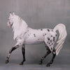 PREVIEW LISTING ONLY Pepper LE 20 Leopard Appaloosa Custom Arab Mare By Ellen Robbins MM24 Run