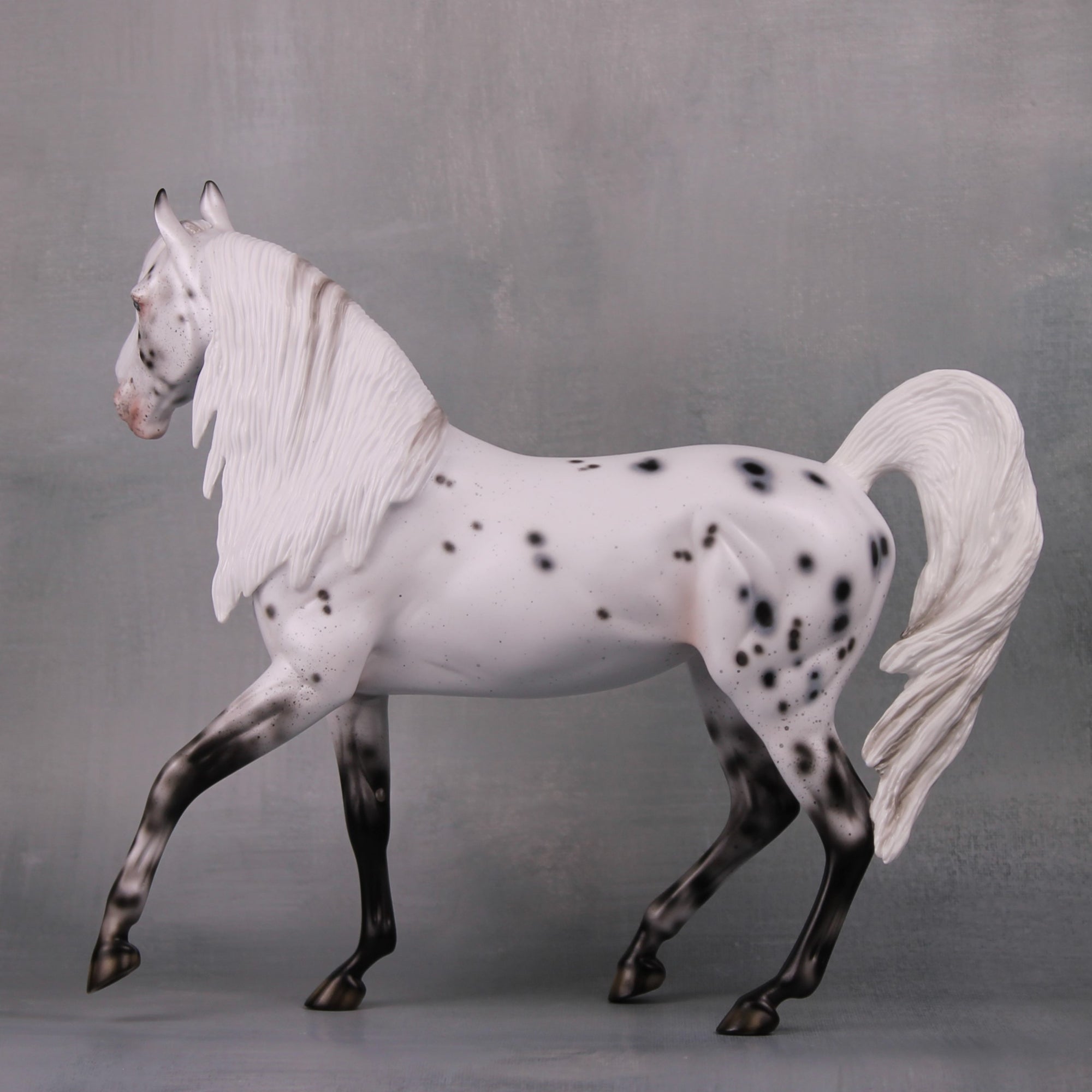 Pepper LE 20 Leopard Appaloosa Custom Arab Mare By Ellen Robbins MM24 Run