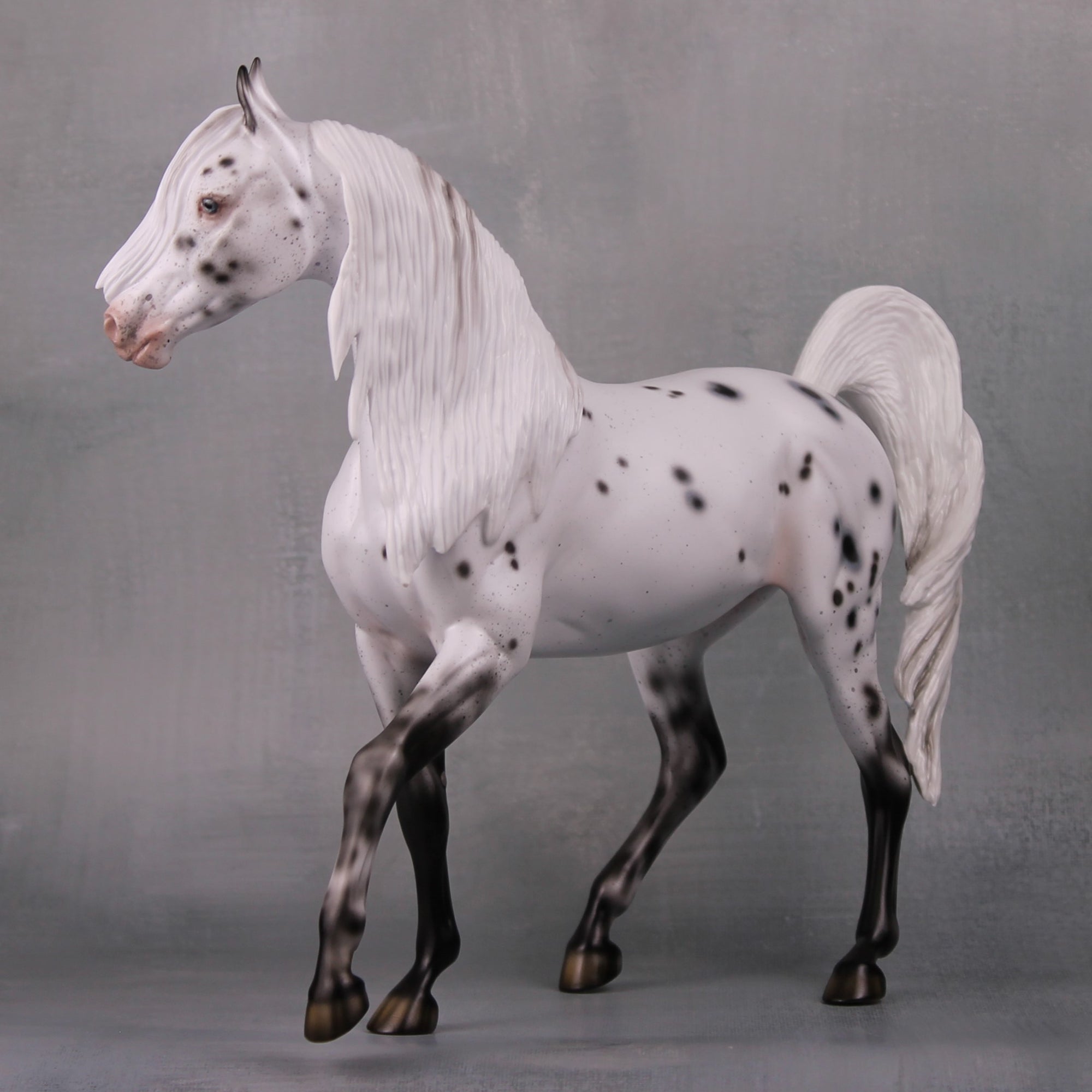Pepper LE 20 Leopard Appaloosa Custom Arab Mare By Ellen Robbins MM24 Run