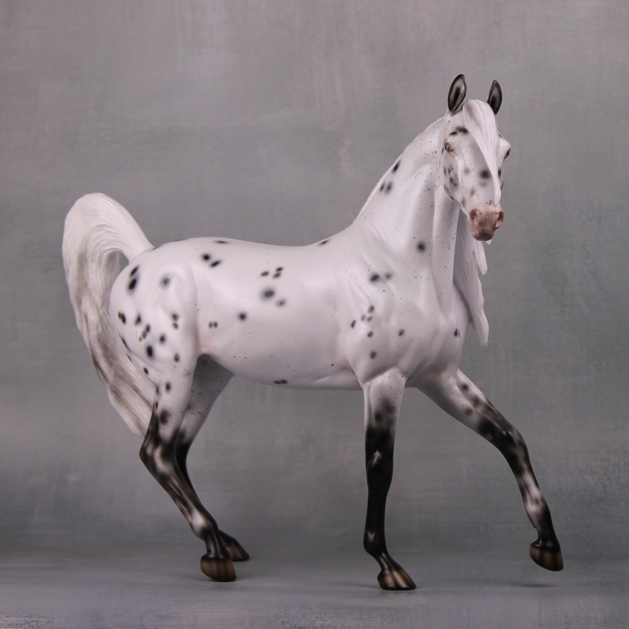 Pepper LE 20 Leopard Appaloosa Custom Arab Mare By Ellen Robbins MM24 Run