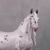 PREVIEW LISTING ONLY Pepper LE 20 Leopard Appaloosa Custom Arab Mare By Ellen Robbins MM24 Run