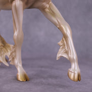 Art of the Horse 