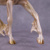 PREVIEW Art of the Horse &quot;Witness&quot; LE-5 EFCM Arab Mare by Jess Hamill EQ25
