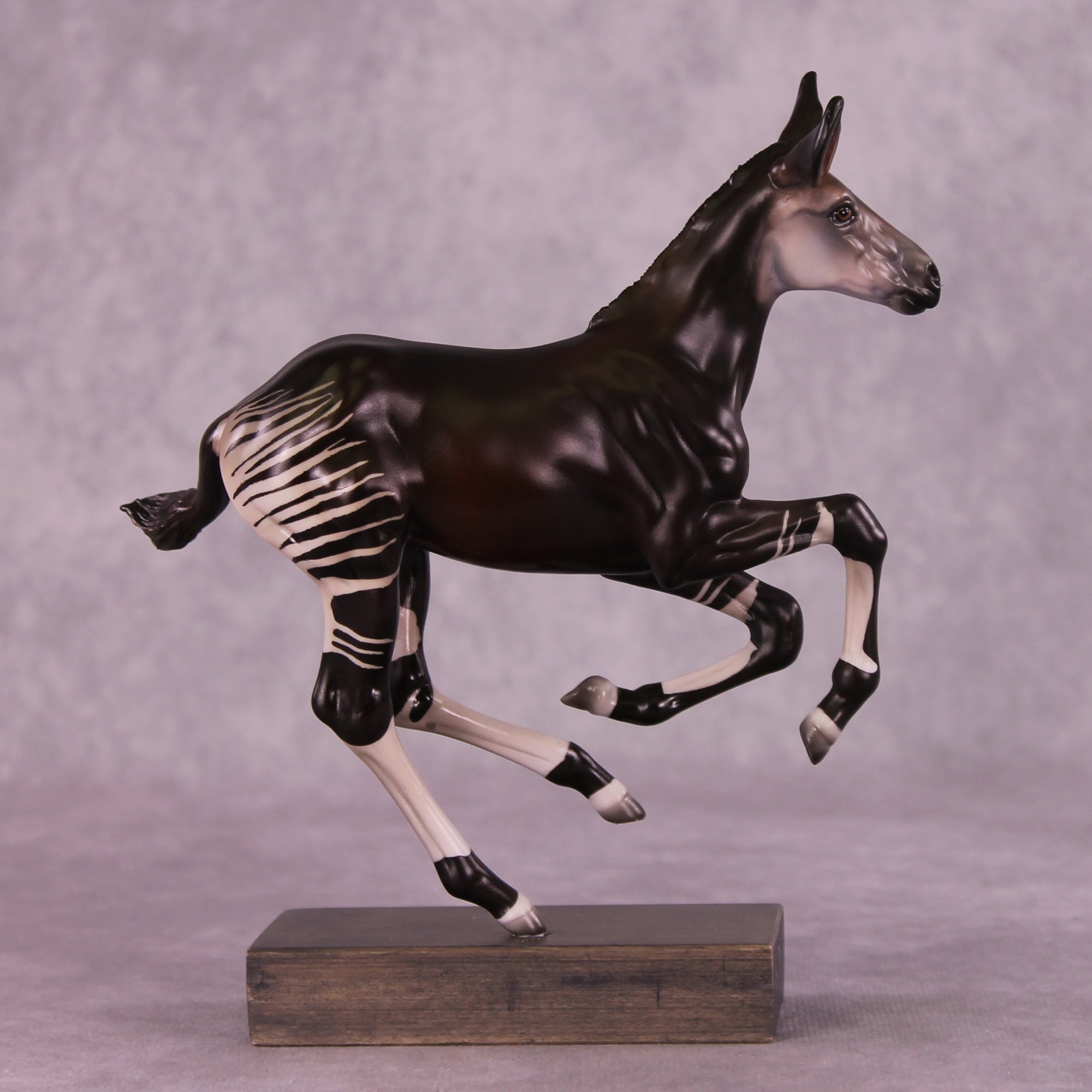 Mosi LE-5 FCM Pimento by Jess Hamill MS25