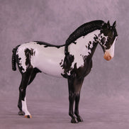 Titus OOAK FCM Andalusian by Anna Rieck DDOOAKs26