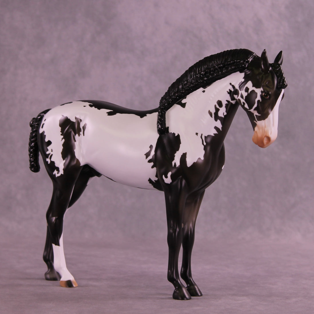 Titus OOAK FCM Andalusian by Anna Rieck DDOOAKs26