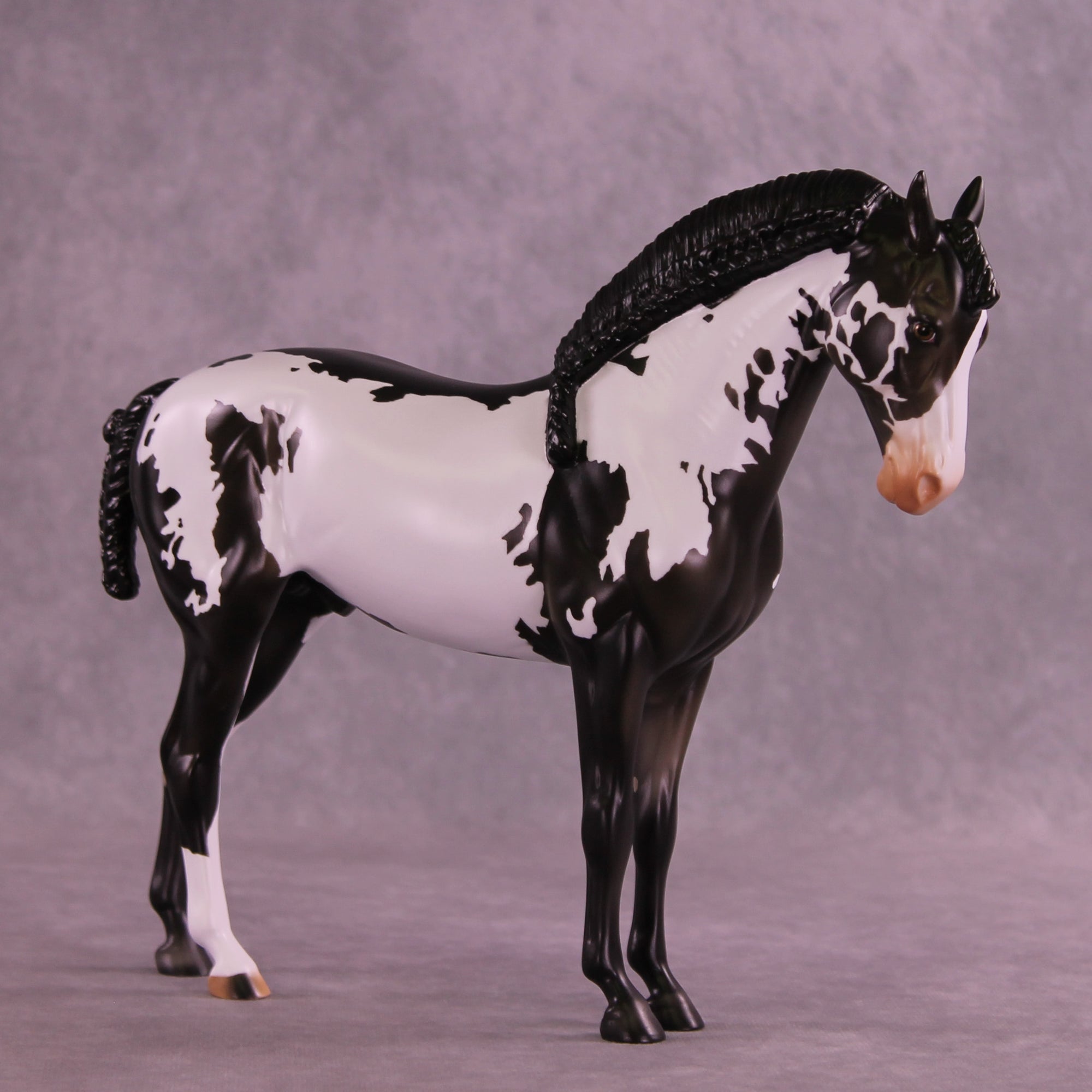 Titus OOAK FCM Andalusian by Anna Rieck DDOOAKs26