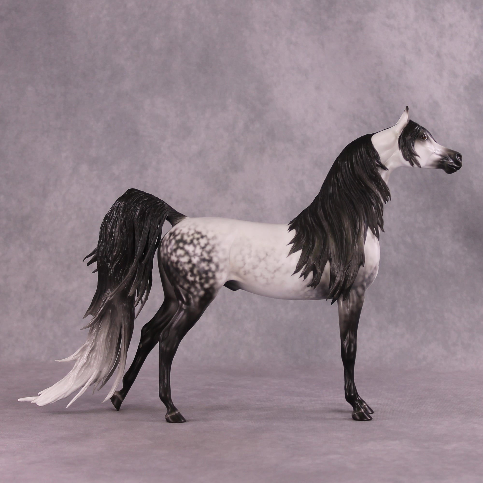 Best Offer Design-A-Horse Platinum Moonlight Madness MM25