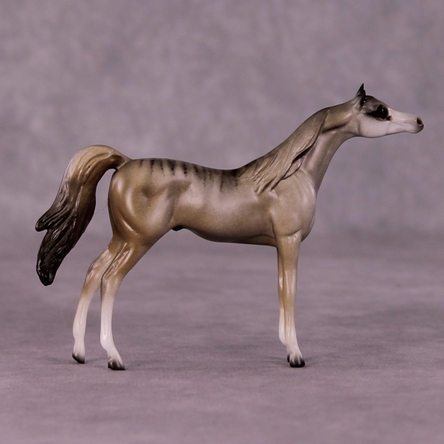 Namaqua OOAK Arabian Chip by Jess Hamill MS25