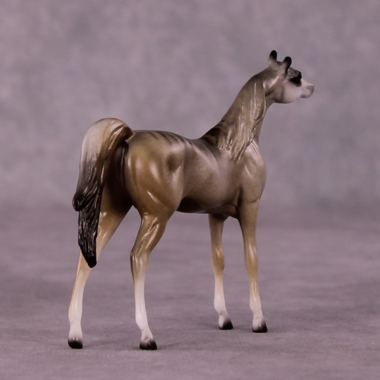 Namaqua OOAK Arabian Chip by Jess Hamill MS25