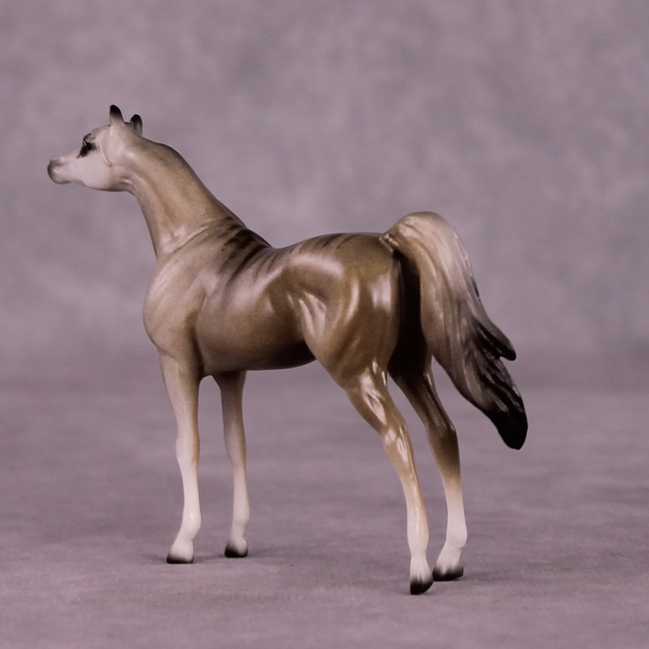 Namaqua OOAK Arabian Chip by Jess Hamill MS25